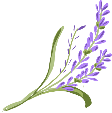 Bunga lavender